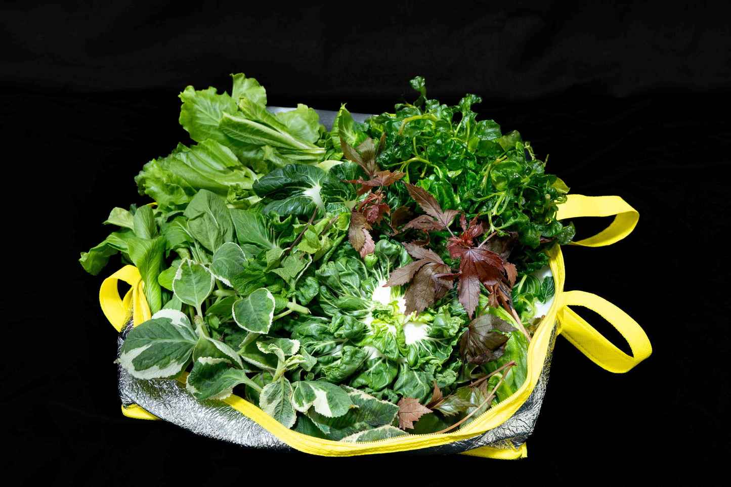 Fresh Veggie Pack