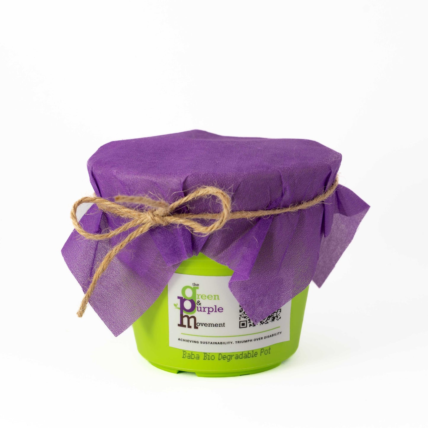 DIY Lemon Basil Herb Kit