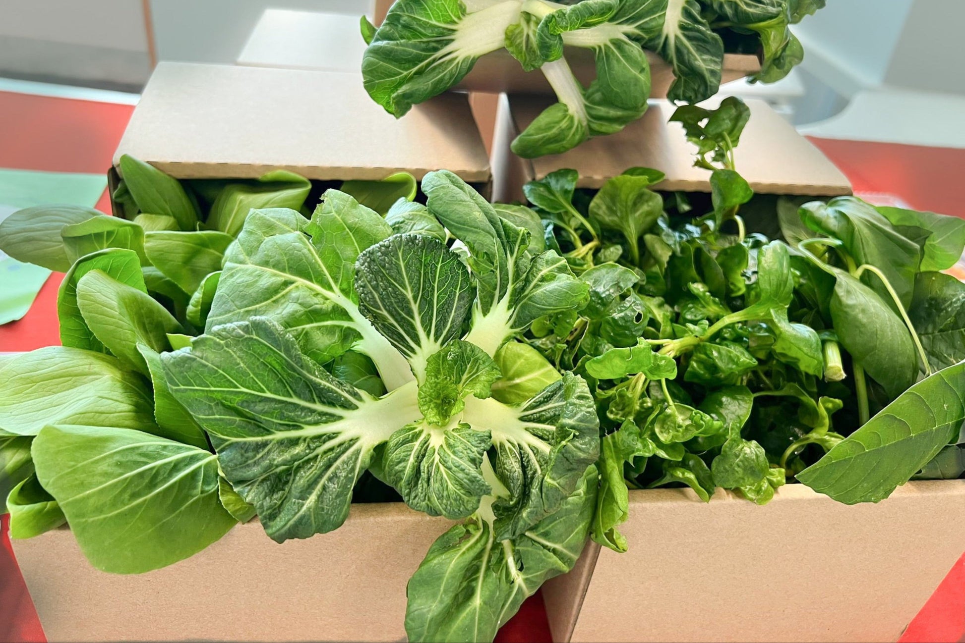 box of fresh vegetables